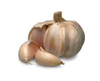 garlic